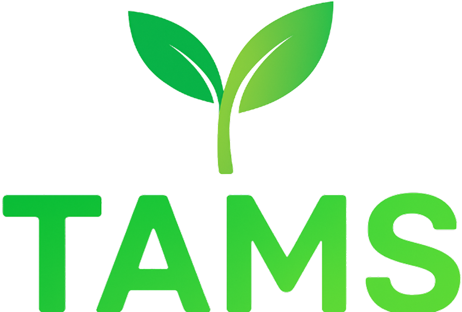 TAMS logo